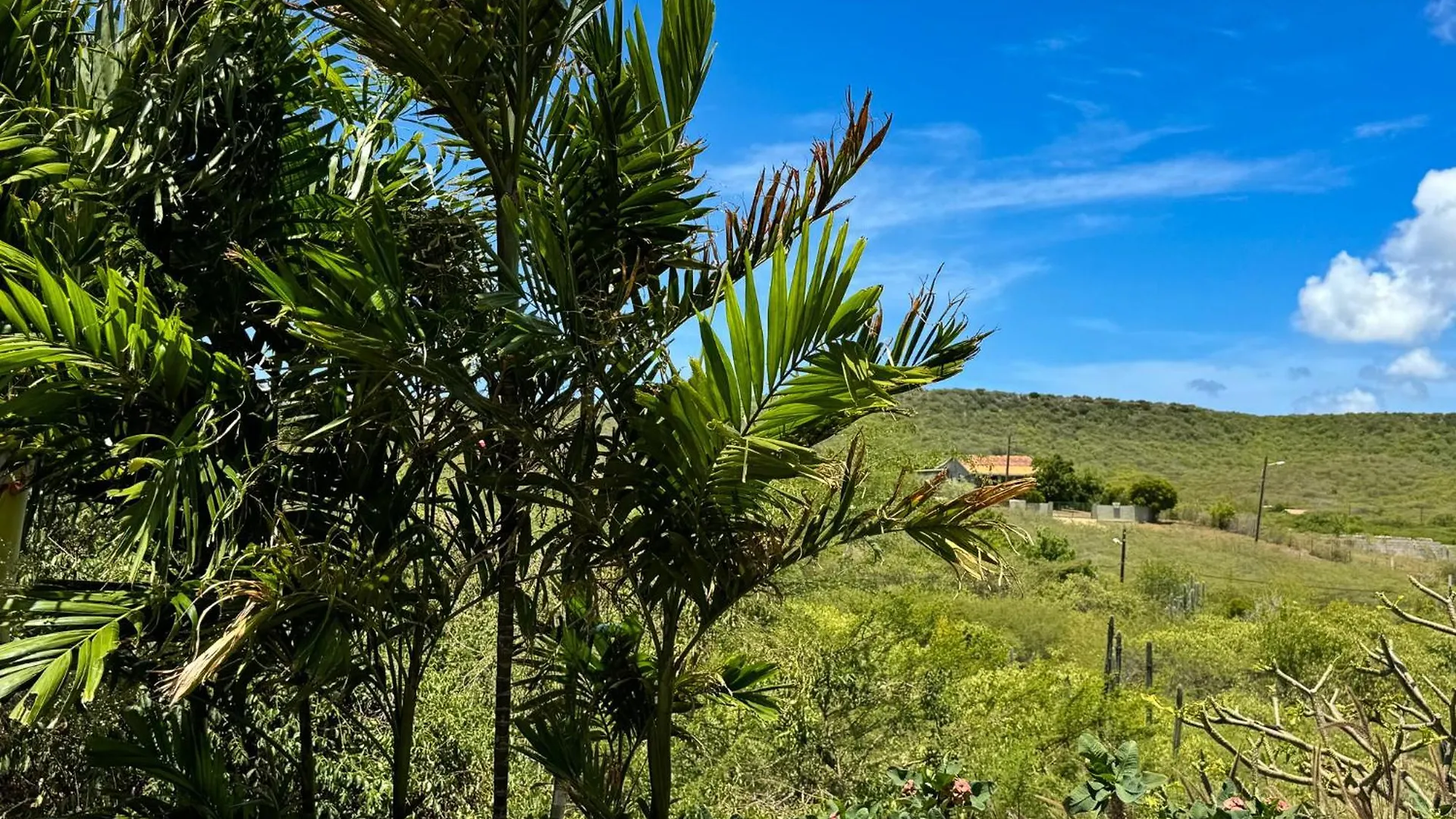 Jan Kok Lodges Willibrordus Curacao