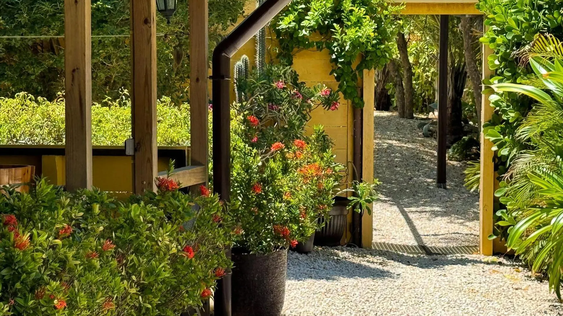 Jan Kok Lodges Willibrordus Apartment