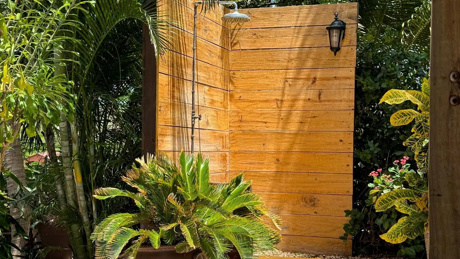 Apartment Jan Kok Lodges Willibrordus Curacao