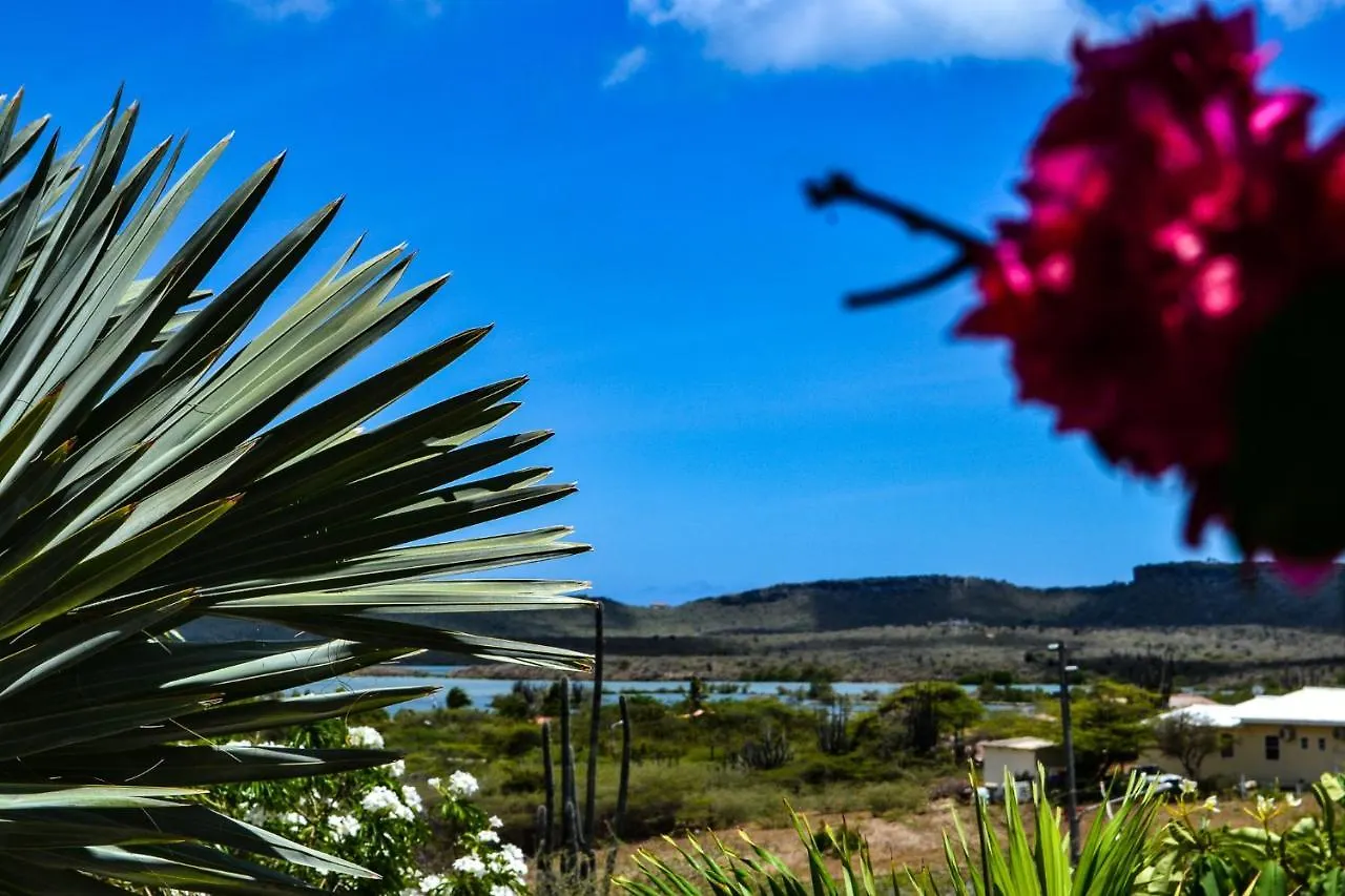 Jan Kok Lodges Willibrordus 0*,  Curacao